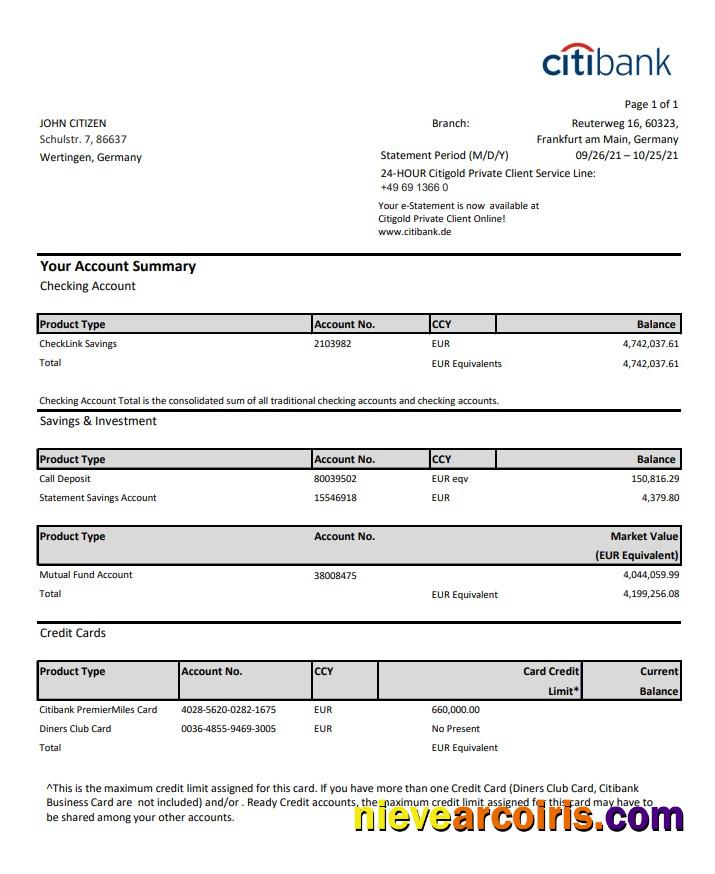 Germany Citibank bank account statement in Excel and PDF format